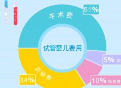 美国试管婴儿费用是怎样的呢(*括检查费用吗)