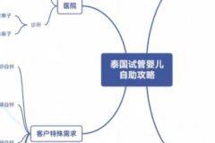 国际生育服务新探索：美国助孕及其试管婴儿之路