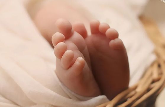 美国三代试管基因助孕价格大概是多少钱