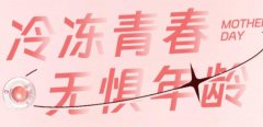 美国试管婴儿费用全解析：从促排到移植，你需要知道的一切