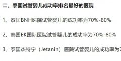 关于试管婴儿服务：美国的试管婴儿之旅咨询