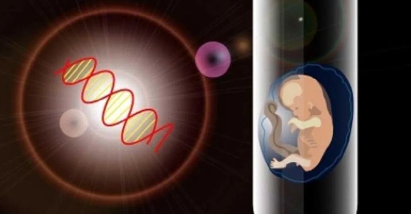 美国三代试管婴儿*孩子费用整理