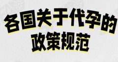 关于美国试管婴儿服务与费用