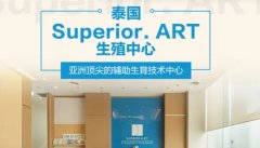 美国试管婴儿费用：深度解析试管婴儿之旅的成本与考量