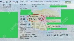 赴美生子费用解读：国际生育医疗服务全方位指南