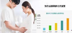 美国试管婴儿：寻找孕育新希望之地