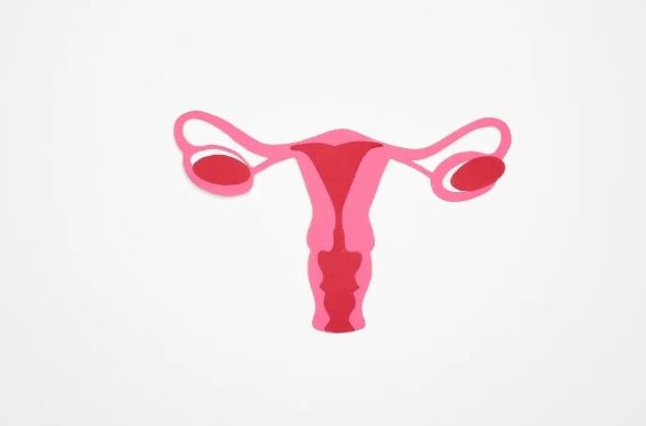 【女性健康必修课】揭开子宫内膜异位症的神秘面纱