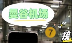 赴美生子办理：深入解析试管助孕之旅