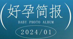 美国第三代试管婴儿：深度解析与案例分析