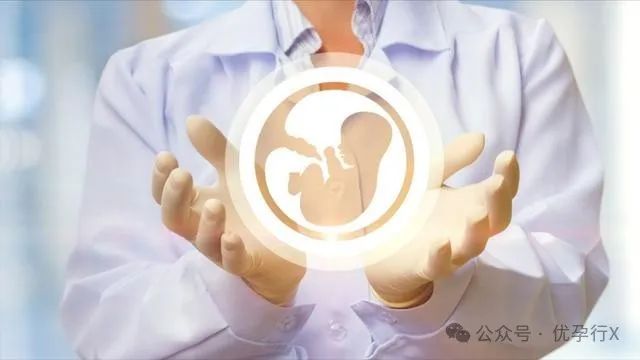 美国试管婴儿：恭喜李王夫妇在美试管成功