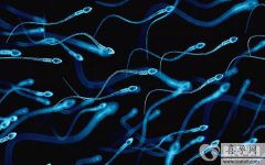 重庆西南医院做供精试管总费用要多少？内附试