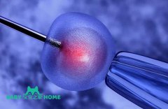 2024三甲医院二代试管政策详解！试管生男女流程
