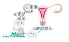 2024国内第三代试管婴儿全流程时间解读