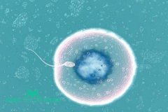 2024年甘美国际医院试管婴儿生男女费用表