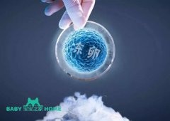 2024在美国借卵做试管费用多少？15万够吗？