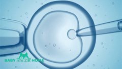 2024去俄罗斯做试管婴儿选择性别流程汇总
