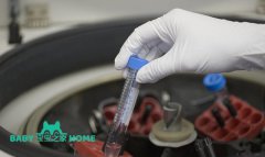 2024供精试管婴儿的流程及费用整理，分6个方面一