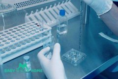 2024美国供精试管流程全解析，附供精试管治疗费