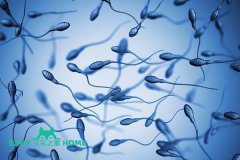2024单身女性去美国精子库买精子做试管婴儿要准