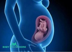 2024单身男性在美国做试管婴儿要多少钱？