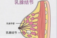 广州中山医院试管婴儿流程及费用