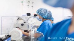 叶海洋在俄罗斯哪家医院做的试管移植？