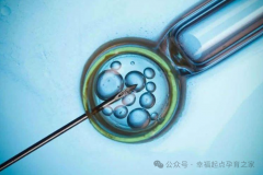 影响一次三代试管成功的因素