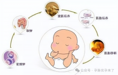 11个胚胎养囊成几个也得看运气！全部失败还要分析原因