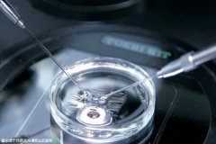 2024东莞做三代试管最厉害的医院流程，按成功率排序