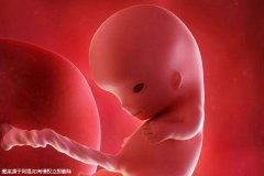 襄阳最厉害的三代试管医院流程