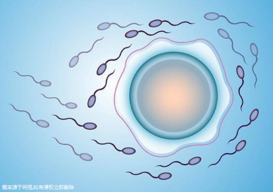 试管婴儿进周之前要检查哪些？试管婴儿进周后的流程