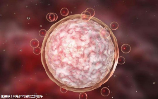 西安三代试管医院预约流程