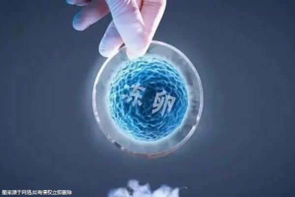 北医三院试管成功率囊胚(北医三院试管移植流程)