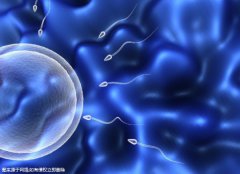 北京第三医院做试管检查流程(北京第三医院试管婴儿)