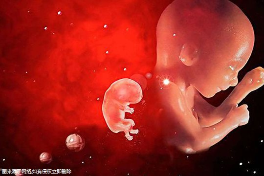 北京第三医院做试管检查流程(北京第三医院试管婴儿)