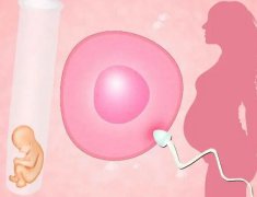 湛江三代试管婴儿费用及成功率，附成功率及费用介绍