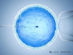 空卵泡会不会排卵受孕-空卵泡和精子结合会怎么样