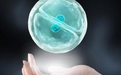 徐州试管婴儿多少钱？附试管婴儿费用明细
