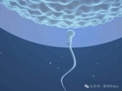 做试管婴儿时间安排很重要，“快”和“慢”各多久看完便知