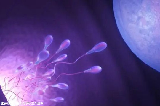 沧州二院试管婴儿检查流程