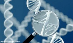 试管异地医保怎么报销？试管异地医保报销流程详细步骤