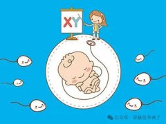 头胎生男孩的几率有多大？生男生女这些因素来决定