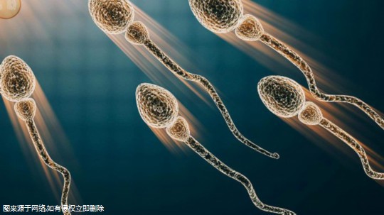 试管婴儿前期检查流程及费用，试管婴儿前期检查流程需要什么？