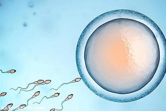 宜昌三代试管私立机构哪个比较好？高龄生子有哪些流程