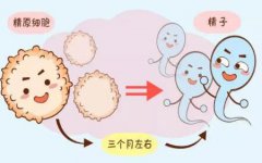 国内哪家医院三代试管婴儿比较好，三代试管费用和成功率一览