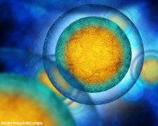 荆州第三代试管机构排行榜单揭晓！附荆州试管医院流程