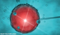 甲减可以做试管流程？甲减是否会影响试管婴儿的成功率？