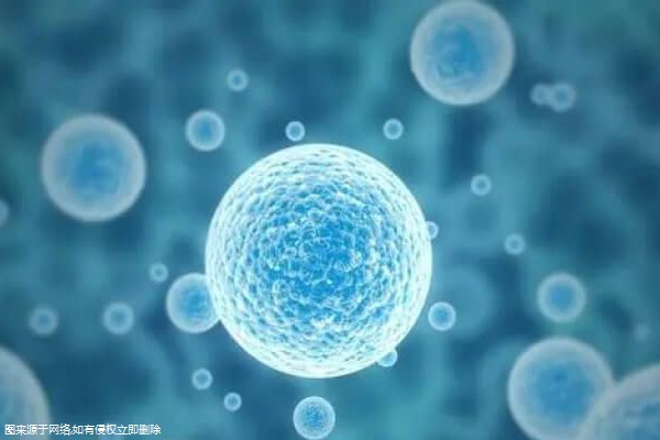 试管婴儿检查步骤及费用(试管婴儿检查流程步骤)
