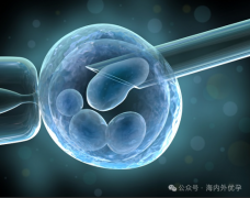三代试管婴儿胚胎融合怎样实现的？这3种方法可协助