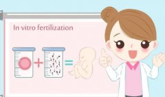 巢囊肿做三代试管婴儿成功率大吗巢囊肿三代试管婴儿，附三代试管费用及成功率
